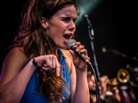 20140809- DSC0398  Bottle Of Moonshine @ Fonnefeesten 2014 : 2014, Bottle Of Moonshine, Lokeren, fonnefeesten