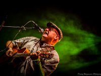 20140803- DSC3214  Juice of The Barley @ Fonnefeesten 2014