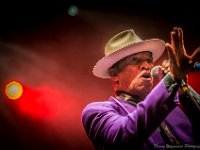 20140802- DSC1199  Kid Creole and the Coconuts @ Fonnefeesten 2014 : 2014, Kid Creole and The Coconuts, Lokeren, fonnefeesten