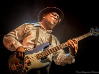 20140802- DSC1247  Kid Creole and the Coconuts @ Fonnefeesten 2014 : 2014, Kid Creole and The Coconuts, Lokeren, fonnefeesten