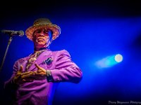 20140802- DSC1400  Kid Creole and the Coconuts @ Fonnefeesten 2014 : 2014, Kid Creole and The Coconuts, Lokeren, fonnefeesten