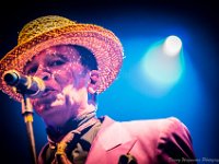 20140802- DSC1438  Kid Creole and the Coconuts @ Fonnefeesten 2014 : 2014, Kid Creole and The Coconuts, Lokeren, fonnefeesten