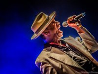 20140802- DSC1869  Kid Creole and the Coconuts @ Fonnefeesten 2014 : 2014, Kid Creole and The Coconuts, Lokeren, fonnefeesten