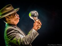 20140802- DSC1986  Kid Creole and the Coconuts @ Fonnefeesten 2014 : 2014, Kid Creole and The Coconuts, Lokeren, fonnefeesten