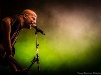 Flip Kowlier - Fonnefeesten 2015 - 15 - © Danny Wagemans  Flip Kowlier @ Fonnefeesten 2015 : 2015, Flip Kowlier, Lokeren, fonnefeesten