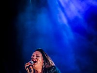 Tigre Blanco @ Fonnefeesten 2015  Tigre Blanco @ Fonnefeesten 2015 : 2015, Lokeren, Tigre Blanco, fonnefeesten