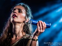 Bottle Of Moonshine - Fonnefeesten 2016-12  Bottle Of Moonshine @ Fonnefeesten 2016