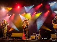 Les Mellino des Négresses vertes @ Fonnefeesten 2016-29  Les Mellino des Négresses vertes @ Fonnefeesten 2016 : 2016, Les Millino Des Négress Vertes, Lokeren, fonnefeesten