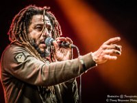 Rootsriders @ Fonnefeesten 2016-14  Rootsriders @ Fonnefeesten 2016 Tribute 2 Bob Marley