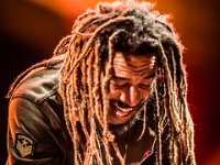 Rootsriders @ Fonnefeesten 2016-16  Rootsriders @ Fonnefeesten 2016 Tribute 2 Bob Marley
