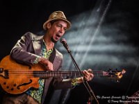 The Concrete Coconuts - Fonnefeesten 2016-15  The Concrete Coconuts @ Fonnefeesten 2016 : 2016, Lokeren, The Concrete Coconuts, fonnefeesten