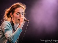 The Concrete Coconuts - Fonnefeesten 2016-5  The Concrete Coconuts @ Fonnefeesten 2016 : 2016, Lokeren, The Concrete Coconuts, fonnefeesten