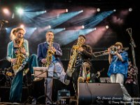 The Concrete Coconuts - Fonnefeesten 2016-8  The Concrete Coconuts @ Fonnefeesten 2016 : 2016, Lokeren, The Concrete Coconuts, fonnefeesten