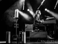 The Doors in Concert - Fonnefeesten 2016-1  The Doors in Concert @ Fonnefeesten 2016 : 2016, Lokeren, The Doors in concert, fonnefeesten