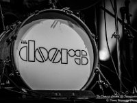 The Doors in Concert - Fonnefeesten 2016-14  The Doors in Concert @ Fonnefeesten 2016 : 2016, Lokeren, The Doors in concert, fonnefeesten