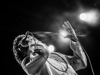 The Doors in Concert - Fonnefeesten 2016-15  The Doors in Concert @ Fonnefeesten 2016 : 2016, Lokeren, The Doors in concert, fonnefeesten