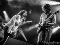 The Doors in Concert - Fonnefeesten 2016-17  The Doors in Concert @ Fonnefeesten 2016 : 2016, Lokeren, The Doors in concert, fonnefeesten