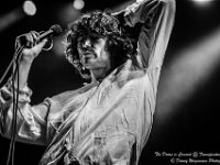 The Doors in Concert - Fonnefeesten 2016-18  The Doors in Concert @ Fonnefeesten 2016 : 2016, Lokeren, The Doors in concert, fonnefeesten