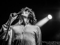 The Doors in Concert - Fonnefeesten 2016-19  The Doors in Concert @ Fonnefeesten 2016 : 2016, Lokeren, The Doors in concert, fonnefeesten