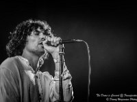 The Doors in Concert - Fonnefeesten 2016-2  The Doors in Concert @ Fonnefeesten 2016 : 2016, Lokeren, The Doors in concert, fonnefeesten