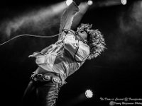 The Doors in Concert - Fonnefeesten 2016-20  The Doors in Concert @ Fonnefeesten 2016 : 2016, Lokeren, The Doors in concert, fonnefeesten