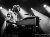 The Doors in Concert - Fonnefeesten 2016-27  The Doors in Concert @ Fonnefeesten 2016 : 2016, Lokeren, The Doors in concert, fonnefeesten