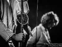 The Doors in Concert - Fonnefeesten 2016-3  The Doors in Concert @ Fonnefeesten 2016 : 2016, Lokeren, The Doors in concert, fonnefeesten