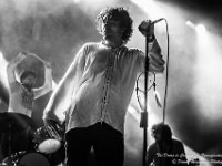 The Doors in Concert - Fonnefeesten 2016-30  The Doors in Concert @ Fonnefeesten 2016 : 2016, Lokeren, The Doors in concert, fonnefeesten