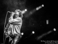 The Doors in Concert - Fonnefeesten 2016-5  The Doors in Concert @ Fonnefeesten 2016 : 2016, Lokeren, The Doors in concert, fonnefeesten