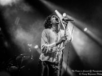 The Doors in Concert - Fonnefeesten 2016-6  The Doors in Concert @ Fonnefeesten 2016 : 2016, Lokeren, The Doors in concert, fonnefeesten