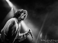 The Doors in Concert - Fonnefeesten 2016-7  The Doors in Concert @ Fonnefeesten 2016 : 2016, Lokeren, The Doors in concert, fonnefeesten