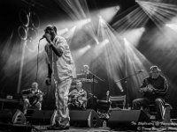 The Skyblasters - Fonnefeesten 2016-3  The Skyblasters @ Fonnefeesten 2016