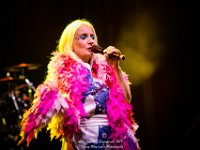 Abba Gold - Fonnefeesten 2017 - Danny Wagemans-20  Abba Gold @ Fonnefeesten 2017