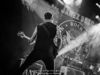 Janez Detd- Fonnefeesten 2017 - Danny Wagemans-12  Janez Detd Punk Rock High School @ Fonnefeesten 2017