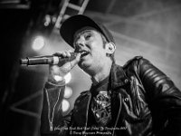Janez Detd- Fonnefeesten 2017 - Danny Wagemans-13  Janez Detd Punk Rock High School @ Fonnefeesten 2017