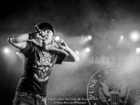 Janez Detd- Fonnefeesten 2017 - Danny Wagemans-17  Janez Detd Punk Rock High School @ Fonnefeesten 2017