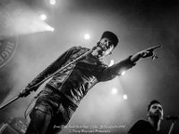 Janez Detd- Fonnefeesten 2017 - Danny Wagemans-2  Janez Detd Punk Rock High School @ Fonnefeesten 2017