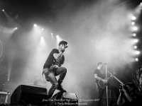 Janez Detd- Fonnefeesten 2017 - Danny Wagemans-21  Janez Detd Punk Rock High School @ Fonnefeesten 2017
