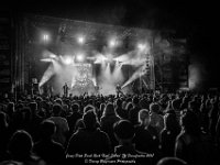 Janez Detd- Fonnefeesten 2017 - Danny Wagemans-23  Janez Detd Punk Rock High School @ Fonnefeesten 2017