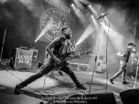 Janez Detd- Fonnefeesten 2017 - Danny Wagemans-30  Janez Detd Punk Rock High School @ Fonnefeesten 2017