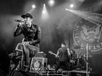 Janez Detd- Fonnefeesten 2017 - Danny Wagemans-5  Janez Detd Punk Rock High School @ Fonnefeesten 2017