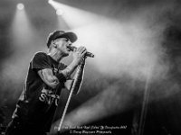 Janez Detd- Fonnefeesten 2017 - Danny Wagemans-7  Janez Detd Punk Rock High School @ Fonnefeesten 2017