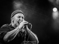 Little Hook - Fonnefeesten 2017 - Danny Wagemans-14  Little Hook @ Fonnefeesten 2017