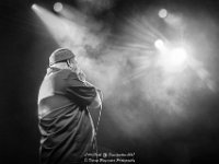 Little Hook - Fonnefeesten 2017 - Danny Wagemans-17  Little Hook @ Fonnefeesten 2017