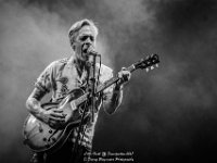 Little Hook - Fonnefeesten 2017 - Danny Wagemans-22  Little Hook @ Fonnefeesten 2017