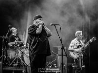 Little Hook - Fonnefeesten 2017 - Danny Wagemans-23  Little Hook @ Fonnefeesten 2017