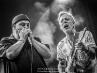 Little Hook - Fonnefeesten 2017 - Danny Wagemans-4  Little Hook @ Fonnefeesten 2017