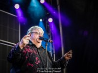 Luc Caals - Fonnefeesten 2017 - Danny Wagemans-17  Luc Caals @ Fonnefeesten 2017