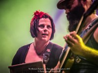 The Reverend Peyton's Big Damn Band - Fonnefeesten 2017 - Danny Wagemans-15  The Reverend Peyton's Big Damn Band @ Fonnefeesten 2017