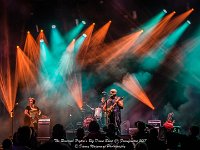 The Reverend Peyton's Big Damn Band - Fonnefeesten 2017 - Danny Wagemans-7  The Reverend Peyton's Big Damn Band @ Fonnefeesten 2017